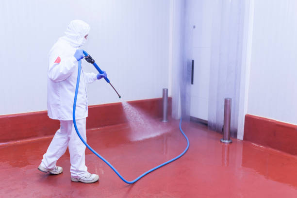 Best Sidewalk and Walkway Cleaning  in Clawson, MI